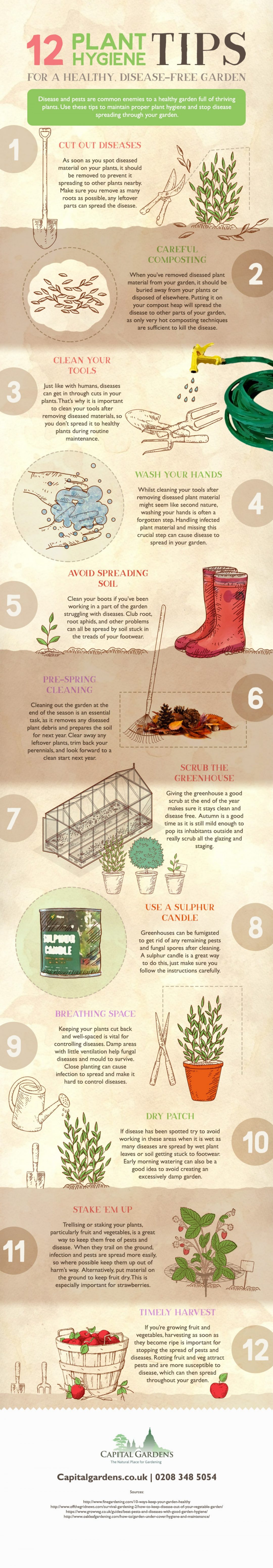 Gardening Hygiene Tips Infographic M & M Gardening 0114 3485221
